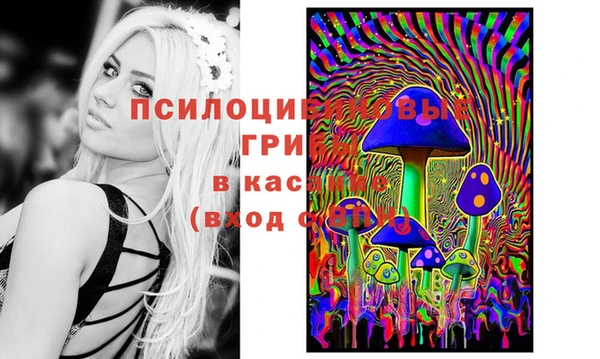 скорость Абаза