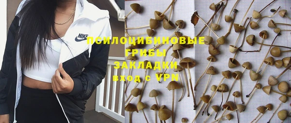 мяу мяу мука Алзамай