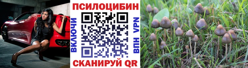 Галлюциногенные грибы MAGIC MUSHROOMS  закладки  mega ссылки  Верхоянск 